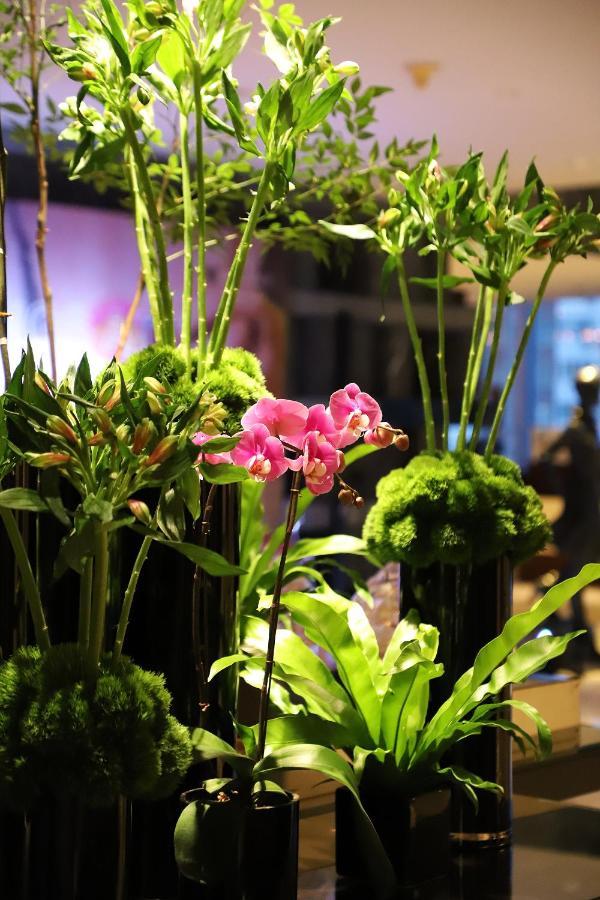 Renaissance Beijing Capital Hotel מראה חיצוני תמונה