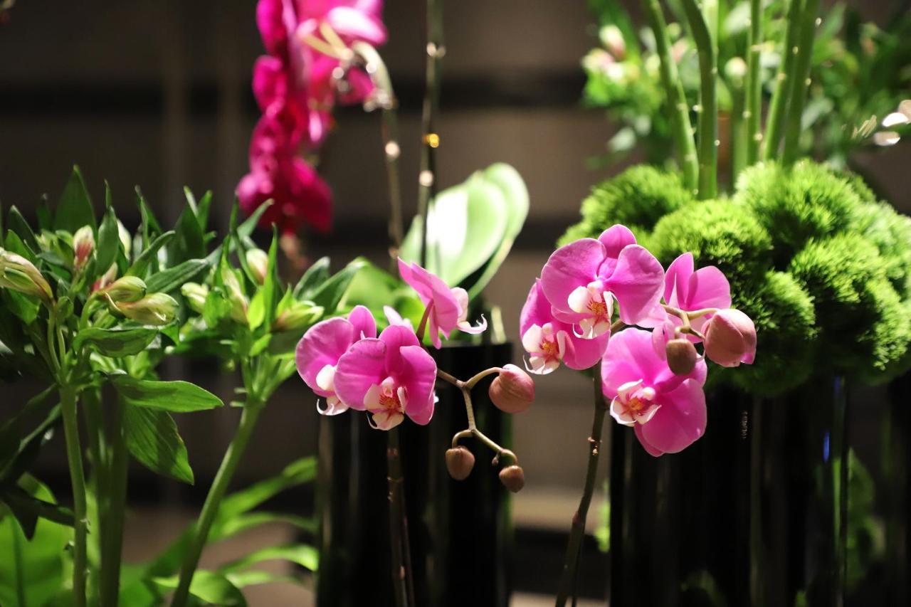 Renaissance Beijing Capital Hotel מראה חיצוני תמונה